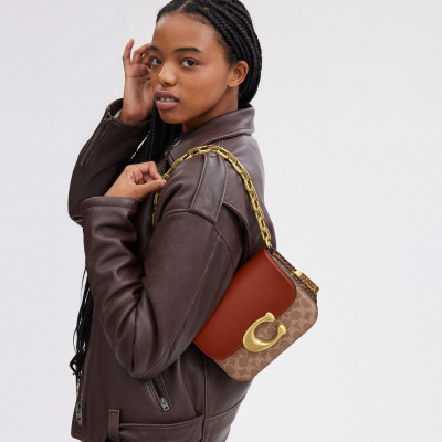 Idol Bag In Signature Canvas With Snakeskin Detail